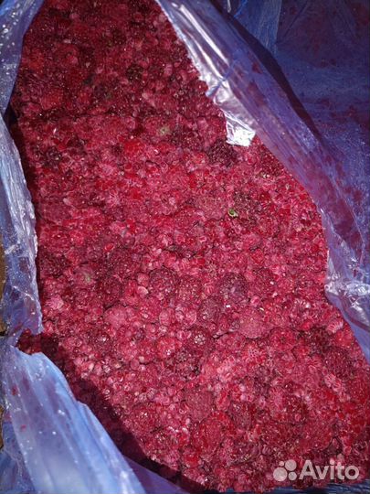 Малина грис замороженная крупный опт