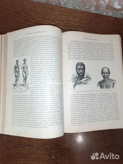 Старинная книга. Ранке И. Человек. Том 2. 1902 г