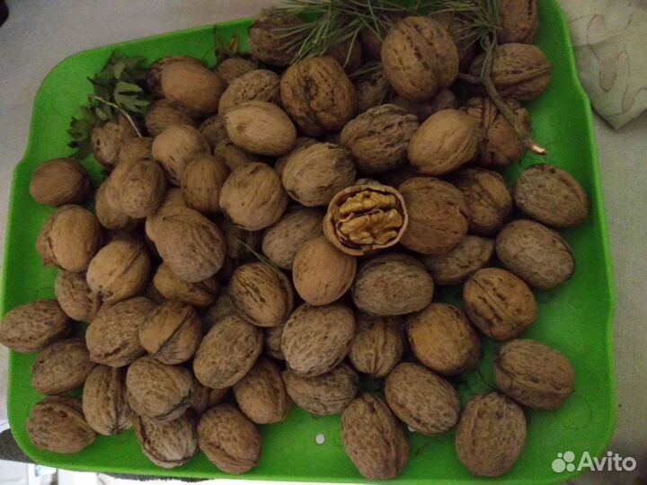 Орех грецкий