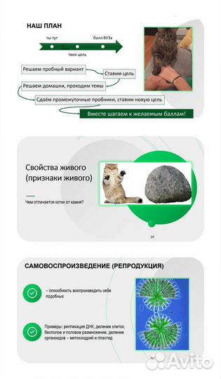 Репетитор биология ОГЭ ЕГЭ. Помощь с экзаменами