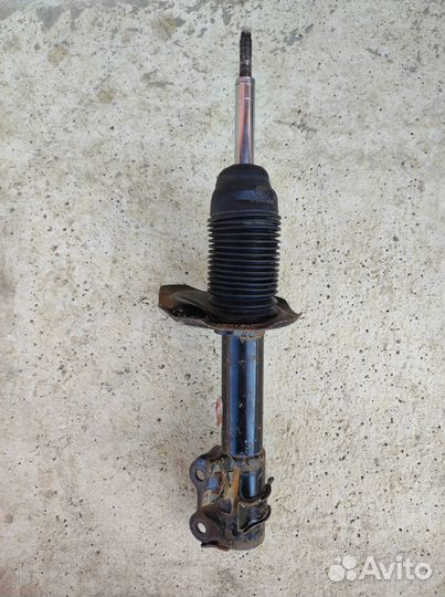 Амортизатор передний правый Nissan Almera N 16