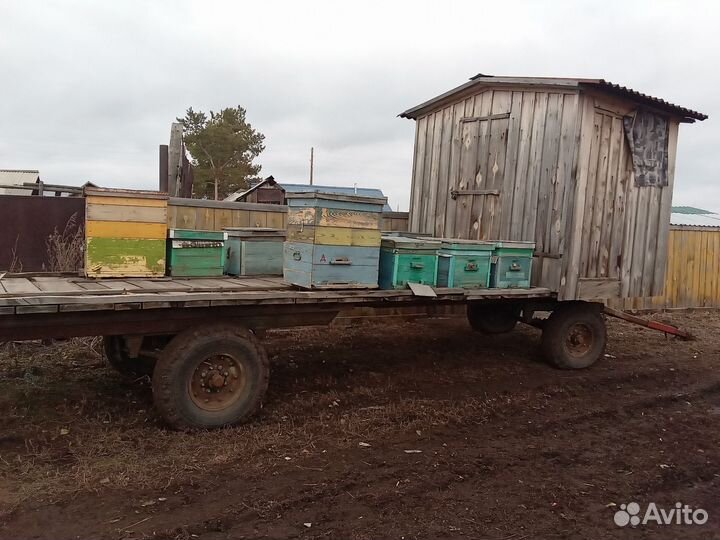 Пчелоприцеп