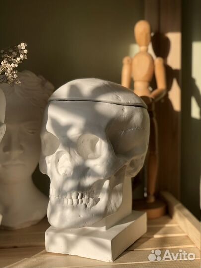 Кашпо гипсовое Череп
