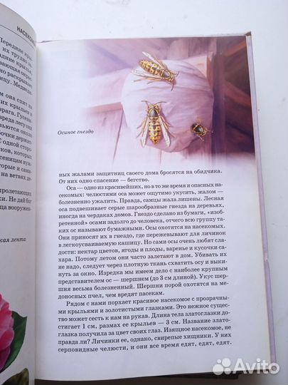 Школьный путеводитель 