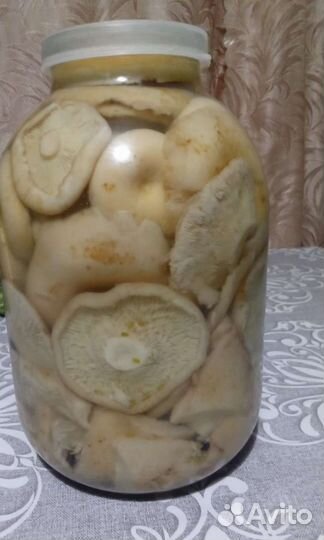 Грибы грузди солёно-варёные