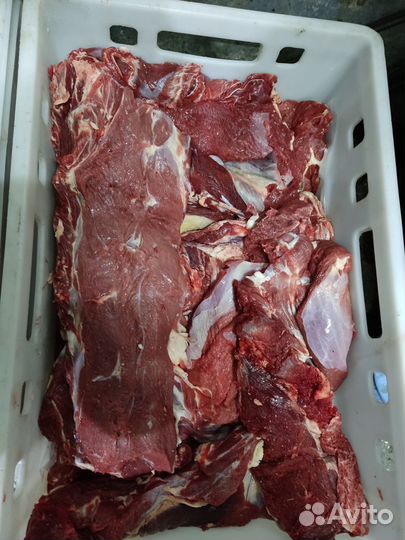 Мясо говядины
