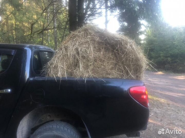 Продам сено в рулонах