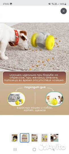 Игрушка для собак