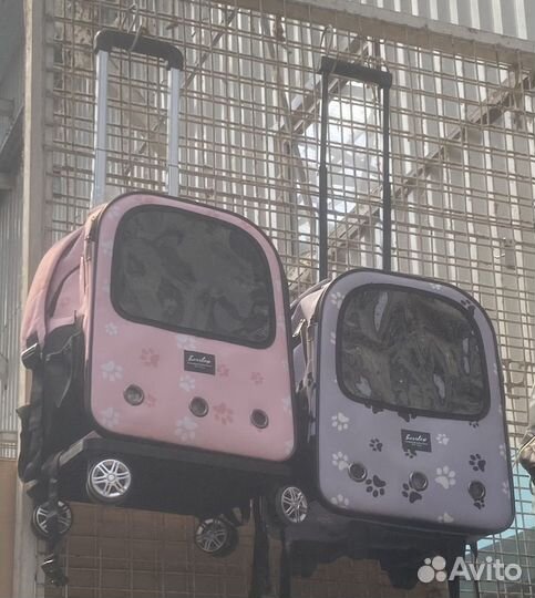 Крутые чемоданы-переноски на колесах для питомцев