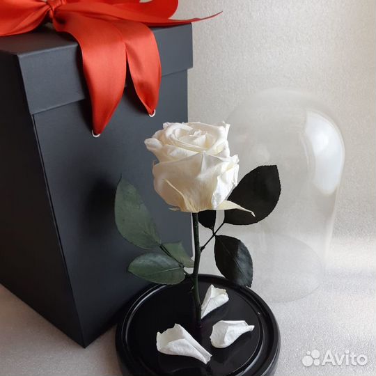 Белые розы в колбе