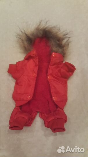 Куртка утепленная для мини той-терьера