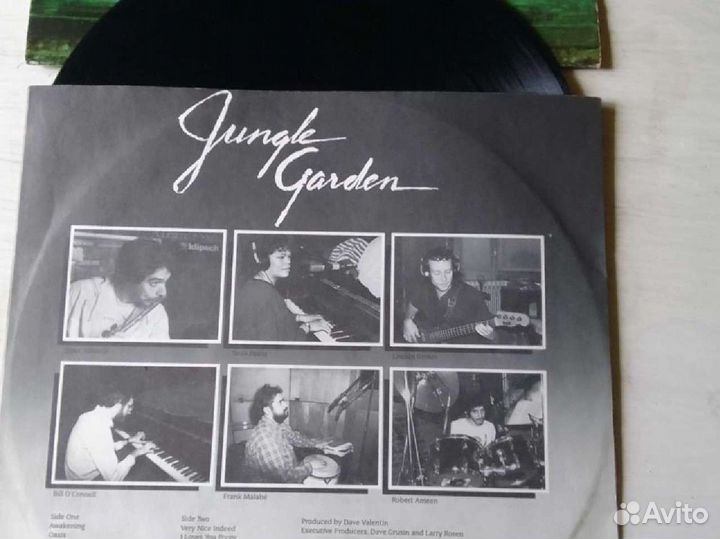 Виниловые пластинки. США