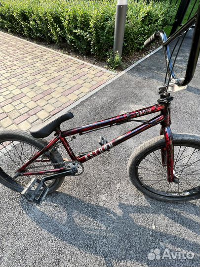 BMX radio astron 2019