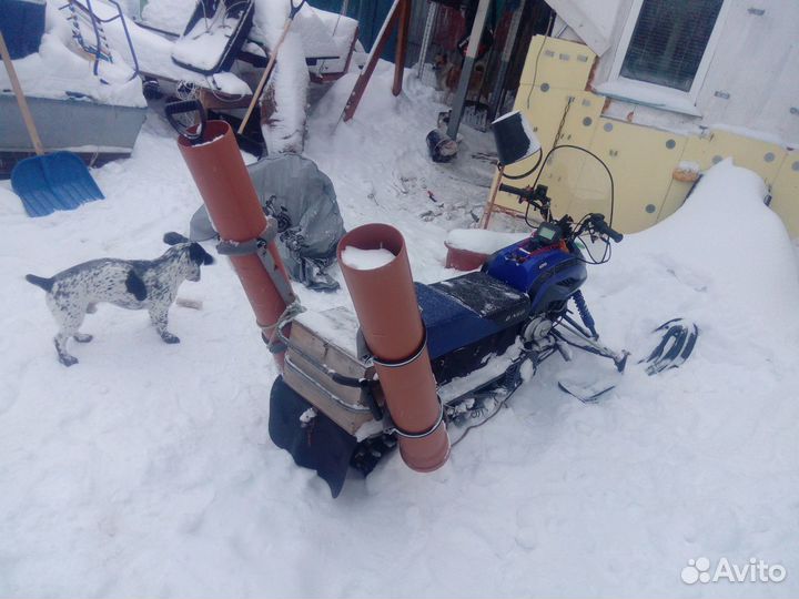 Динго 125