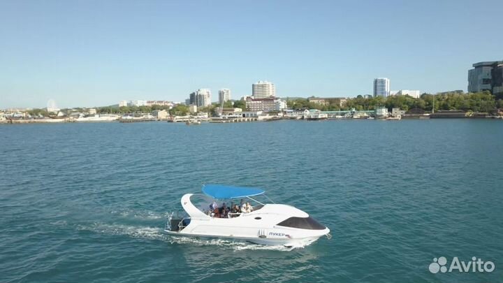 Морские прогулки