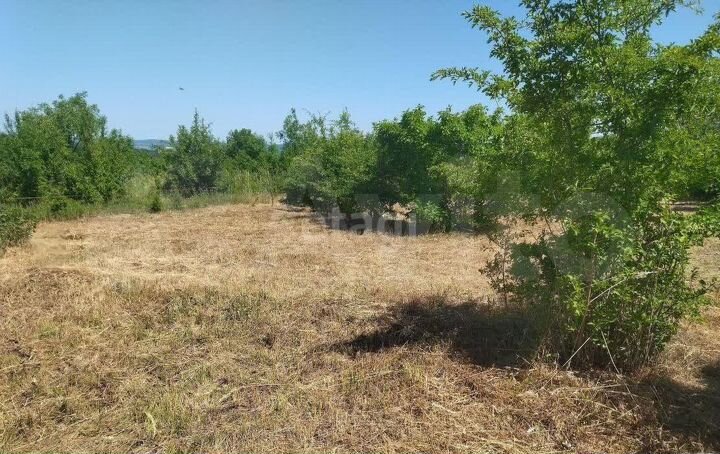 Участок 6 сот. (СНТ, ДНП)