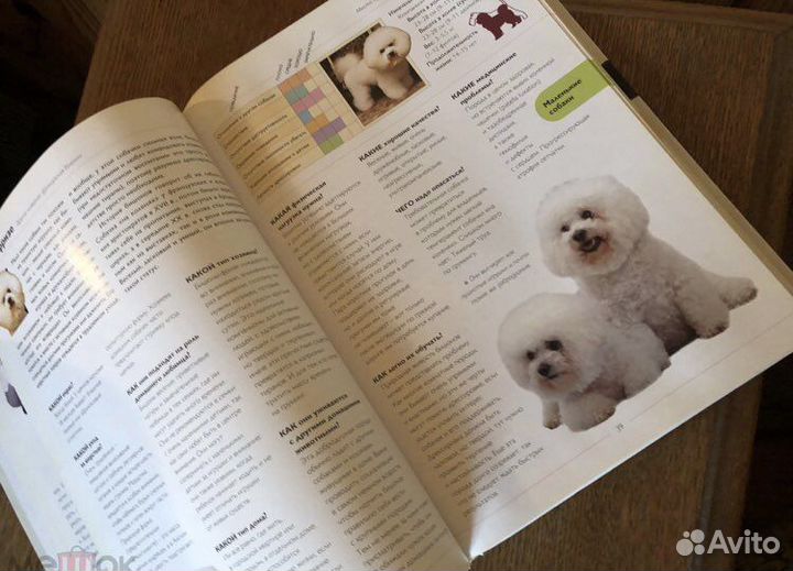 Аманда О Нил Собака по душе как выбрать собаку под