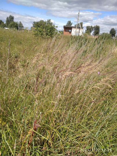 Участок 21 сот. (ИЖС)