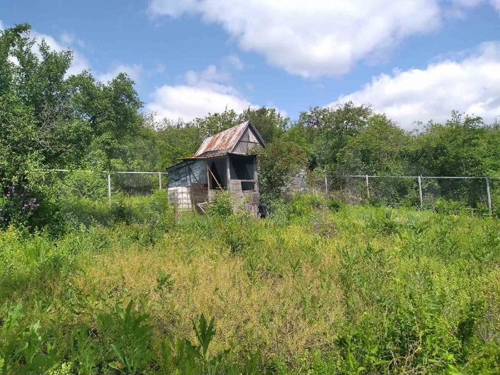 Дача 20 м² на участке 5 сот.