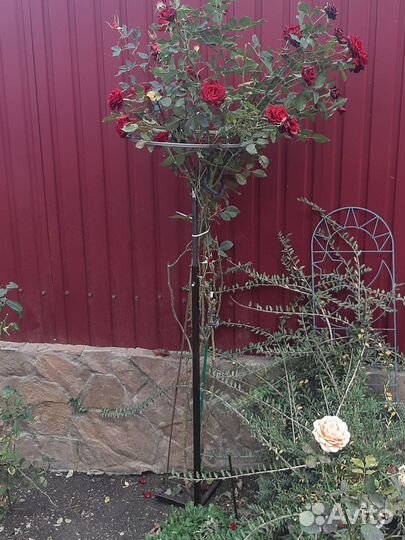 Опора для растений