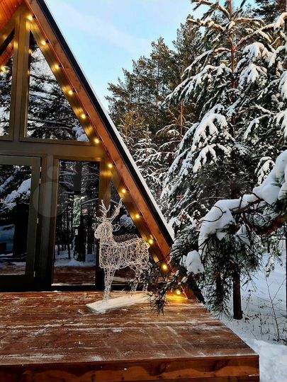 Дом 50 м² на участке 40 сот.