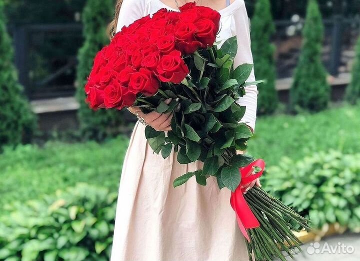 101 роза цветы букеты доставка 25 51 101 роза