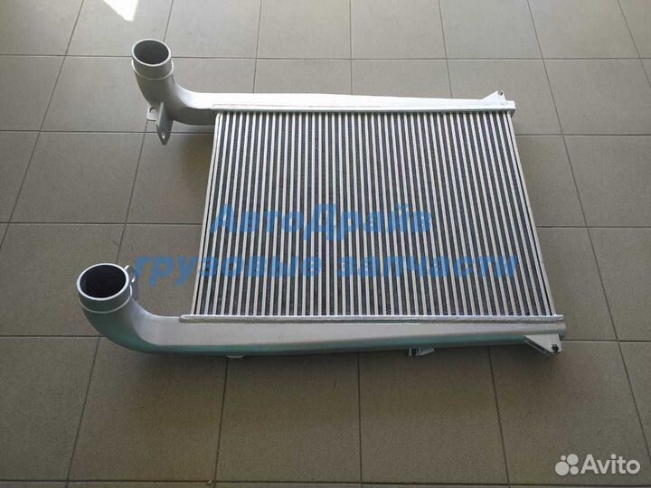 Интеркулер Рено Премиум