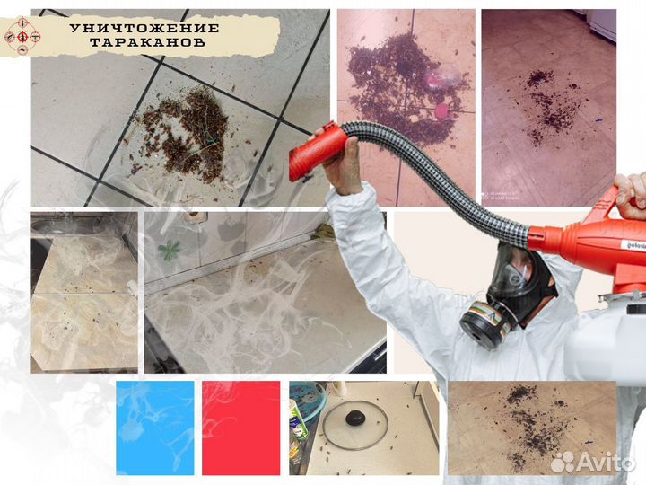 Уничтожение тараканов клопов блох дезинфекция
