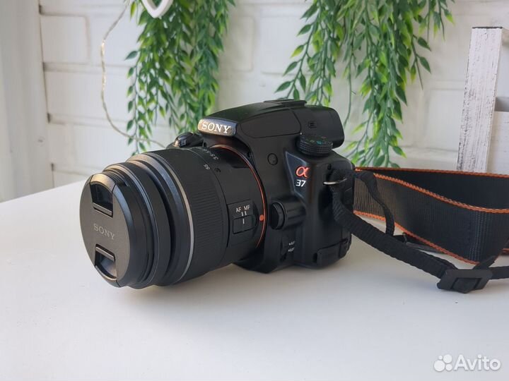 Зеркальный фотоаппарат Sony a37