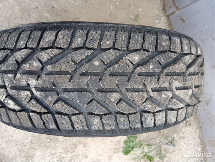 Tigar Ice 205/55 R16