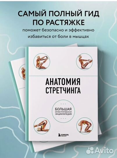 Книга Анатомия стрейчинга