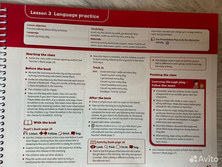 Книга учителя Pippa and pop без кодов