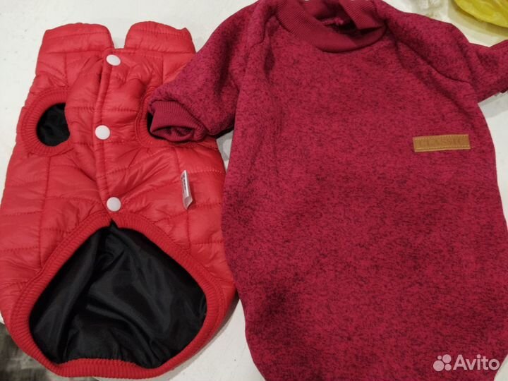 Одежда для собак новая