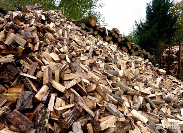 Дрова без плесени