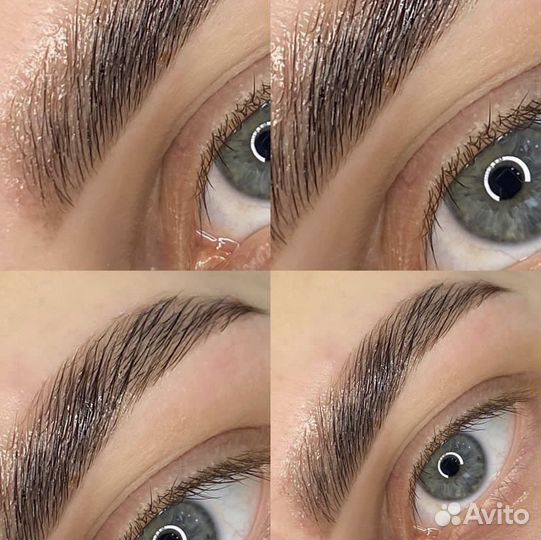 Мастер бровист