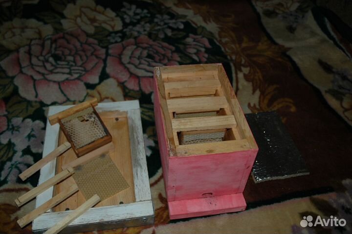 Продам мини нуклеусы