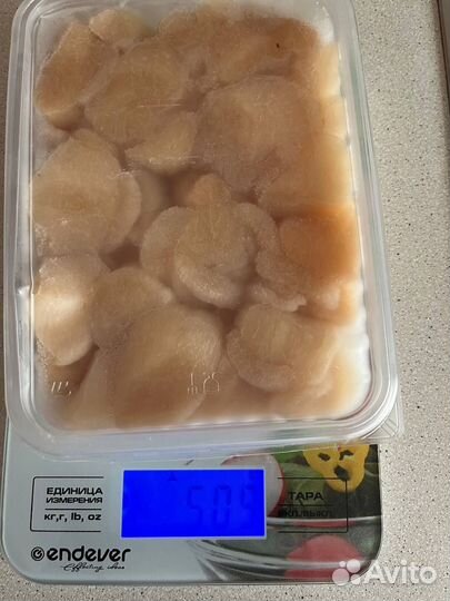 Морской гребешок