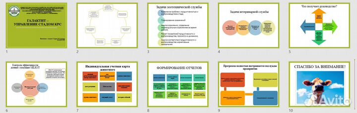 Презентация на заказ