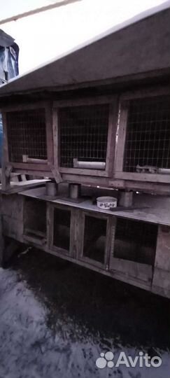 Клетка для кролика