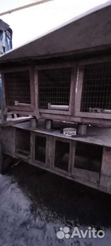 Клетка для кролика