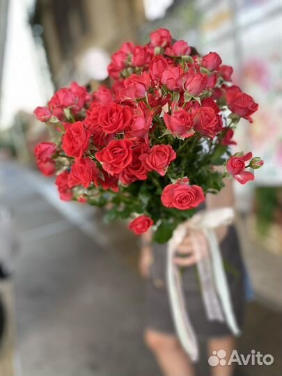 Роза, доставка цветов, пионы, букеты, розы