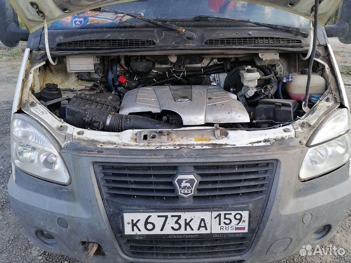 Водитель с личной газелью