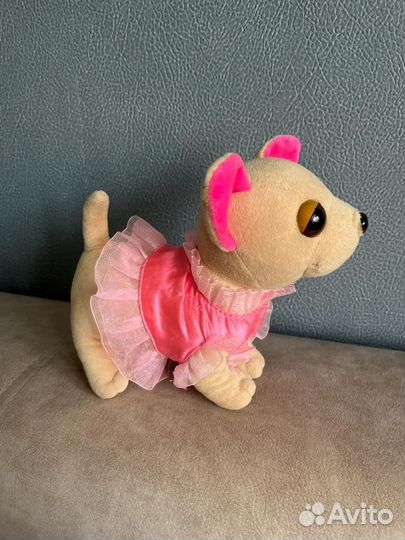 Собачка чичилав