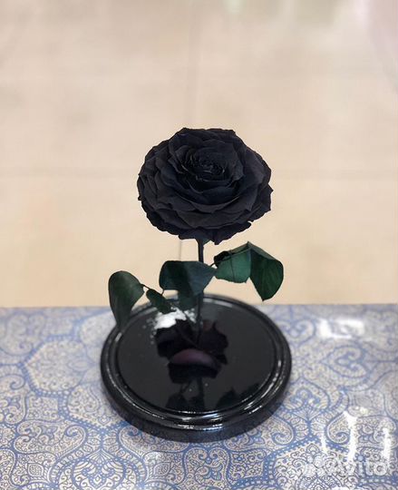 Роза в колбе
