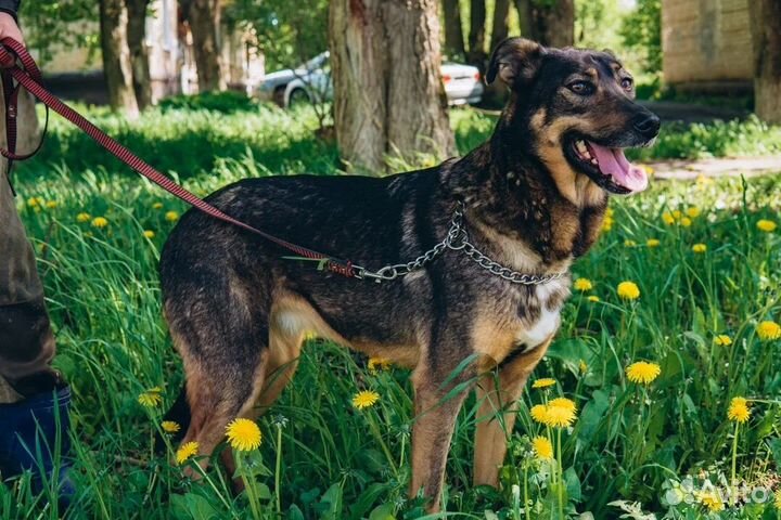 Линси подросток