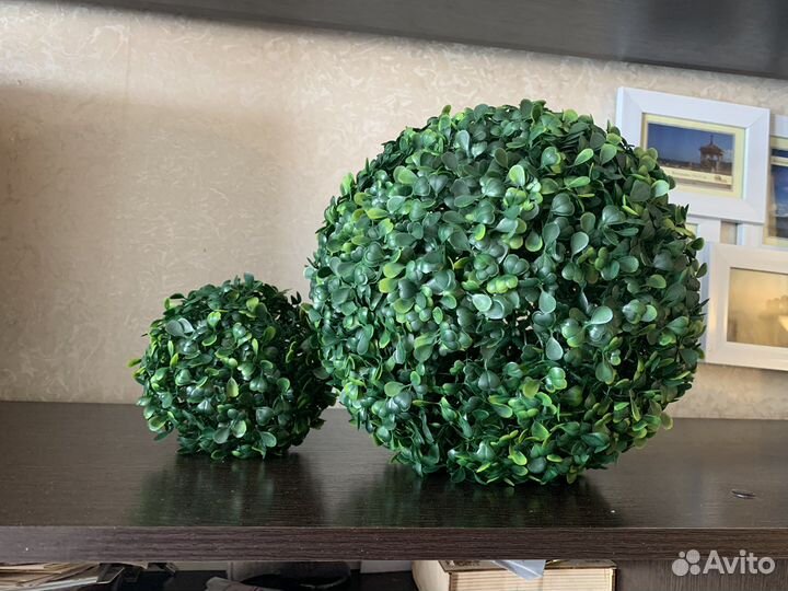 Искусственный самшит