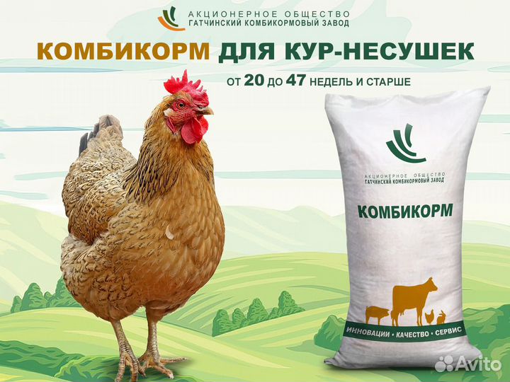 Комбикорм для птиц