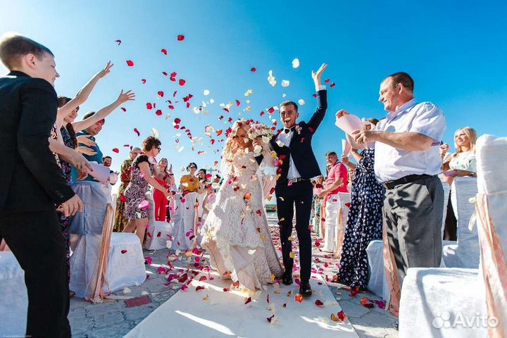 Свежие Лепестки Роз