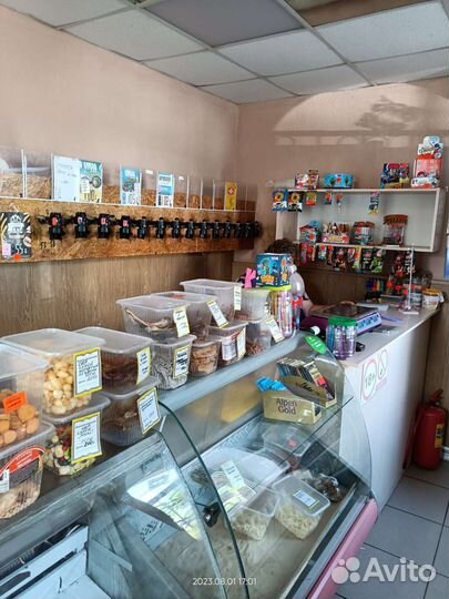 Готовый бизнес магазин разливного пива