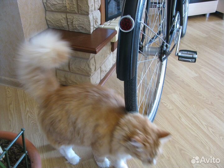 Ретро-велосипед 